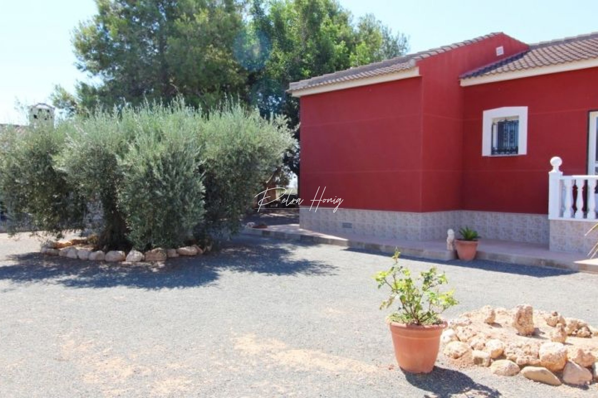 Resales - Finca - Los Montesinos