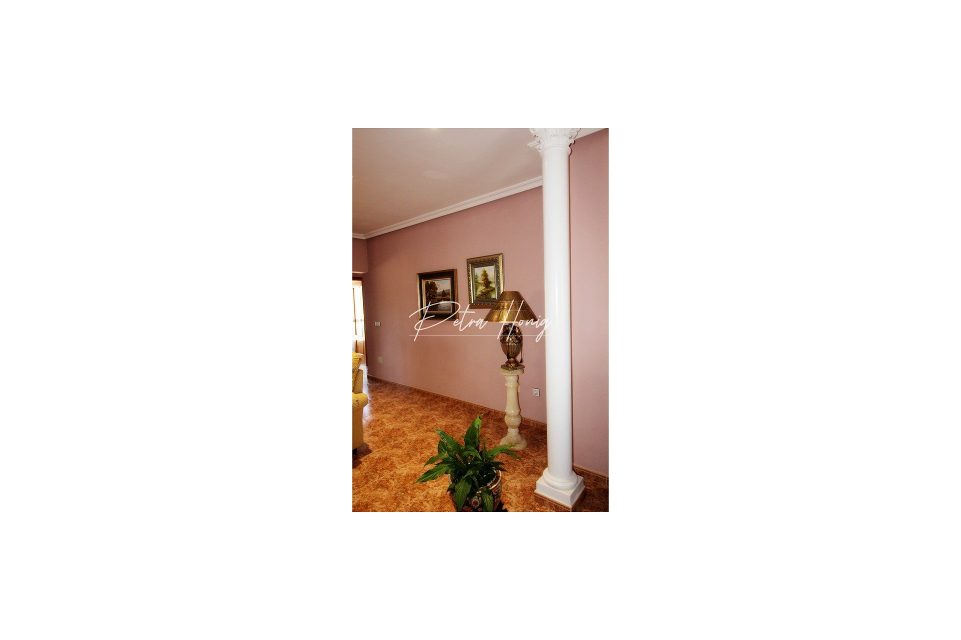 Resales - Finca - Los Montesinos