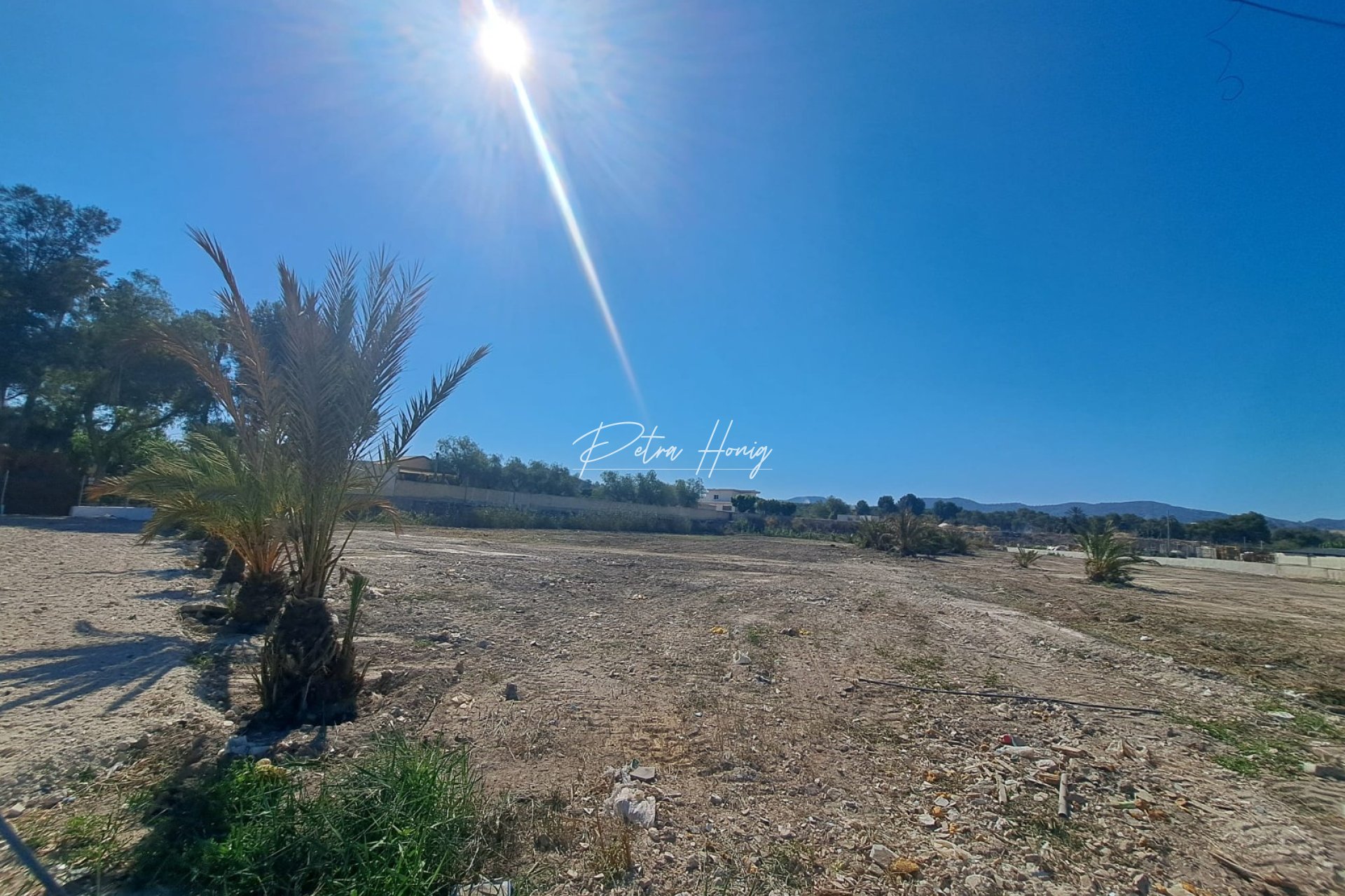 Resales - Finca - Orihuela
