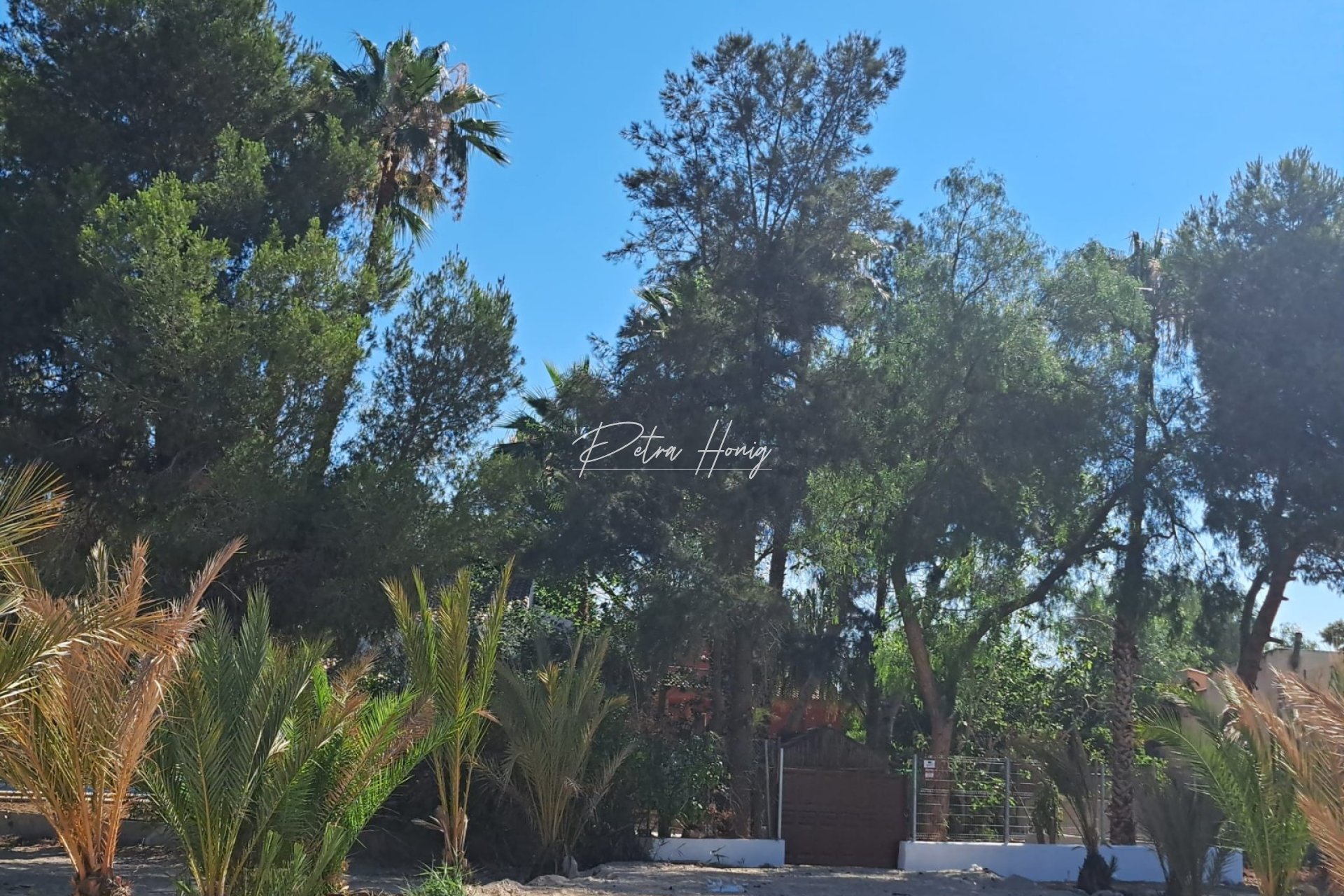 Resales - Finca - Orihuela