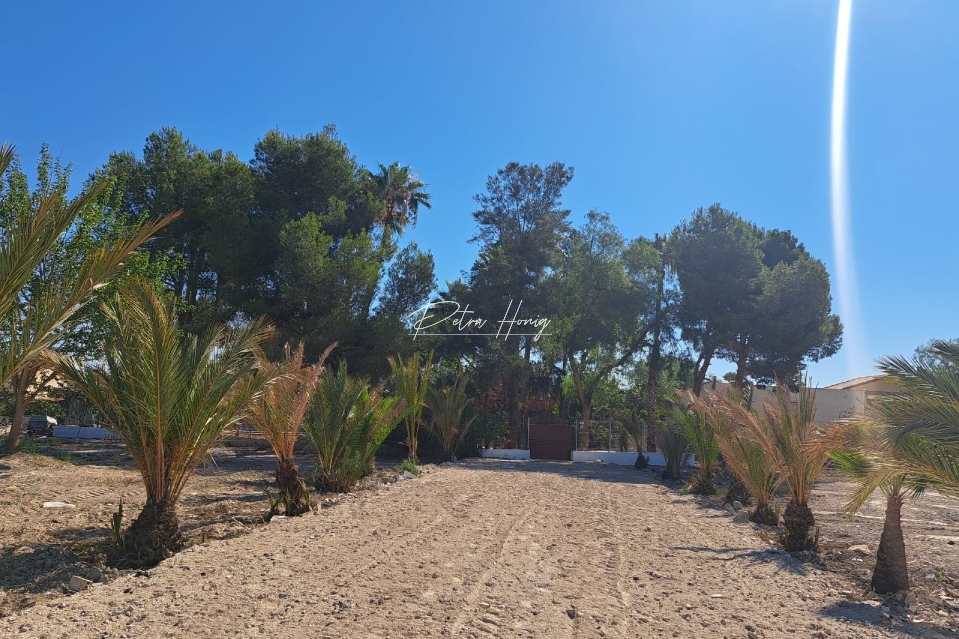 Resales - Finca - Orihuela