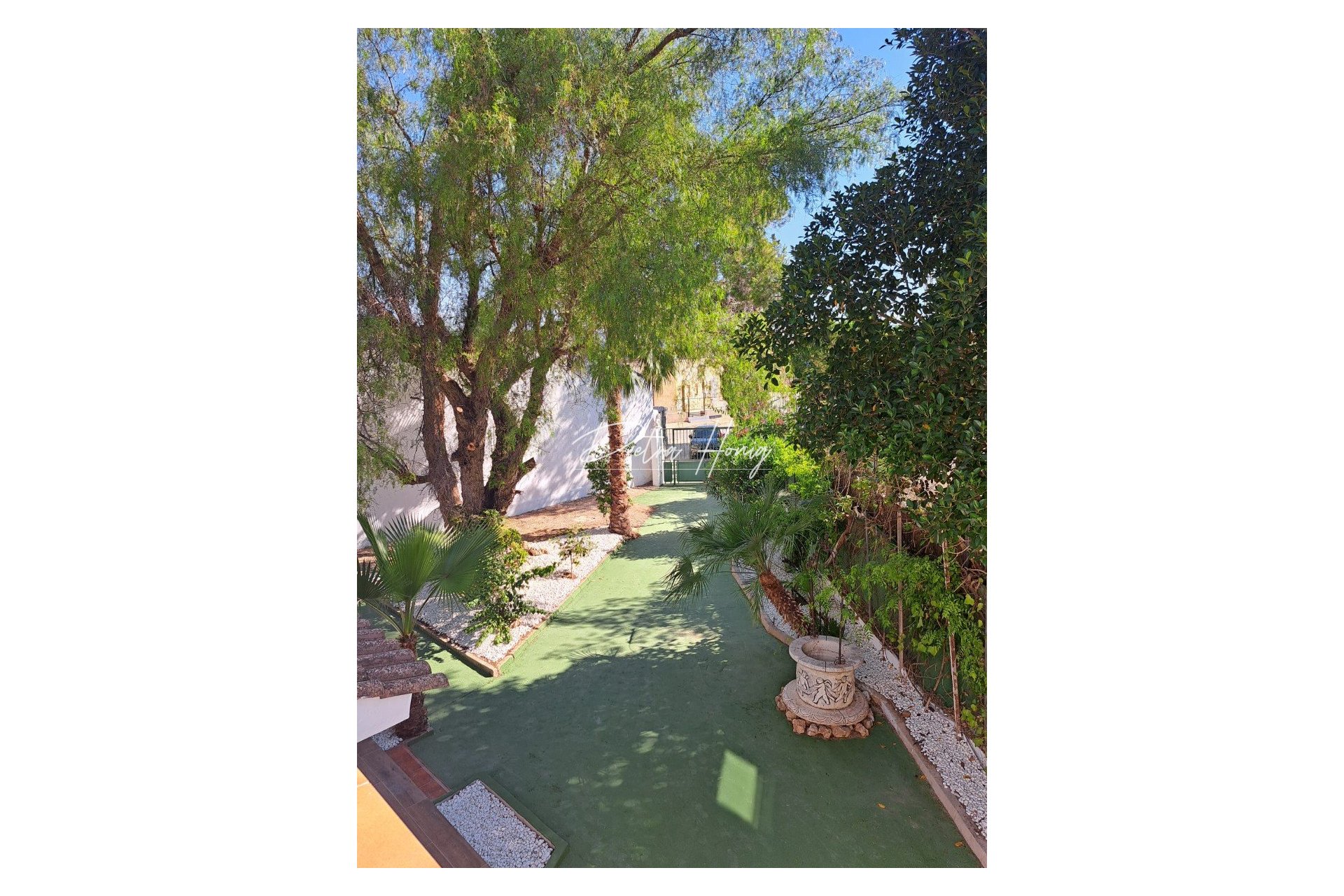 Resales - Finca - Orihuela