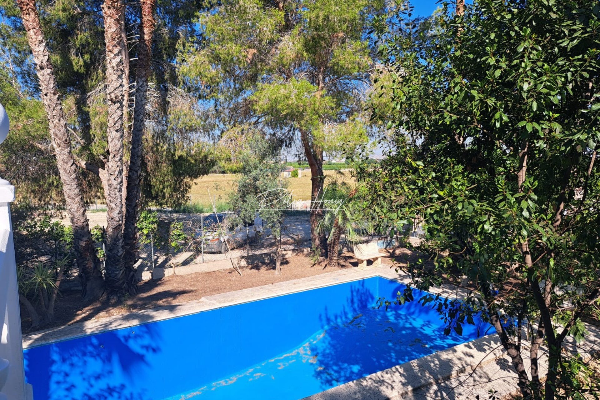 Resales - Finca - Orihuela