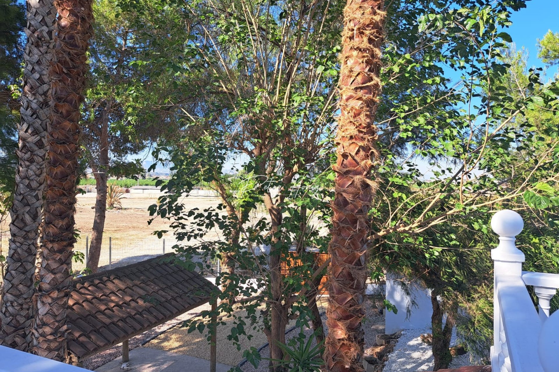 Resales - Finca - Orihuela