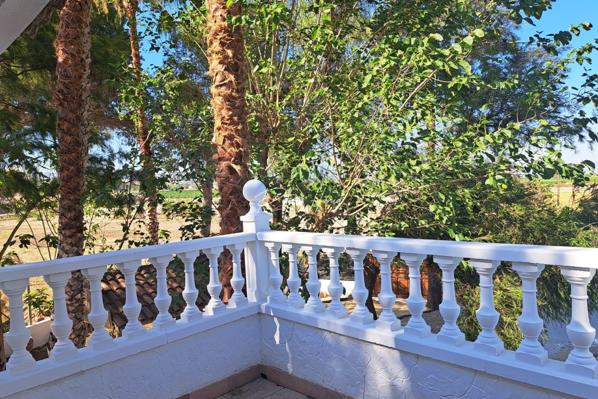 Resales - Finca - Orihuela