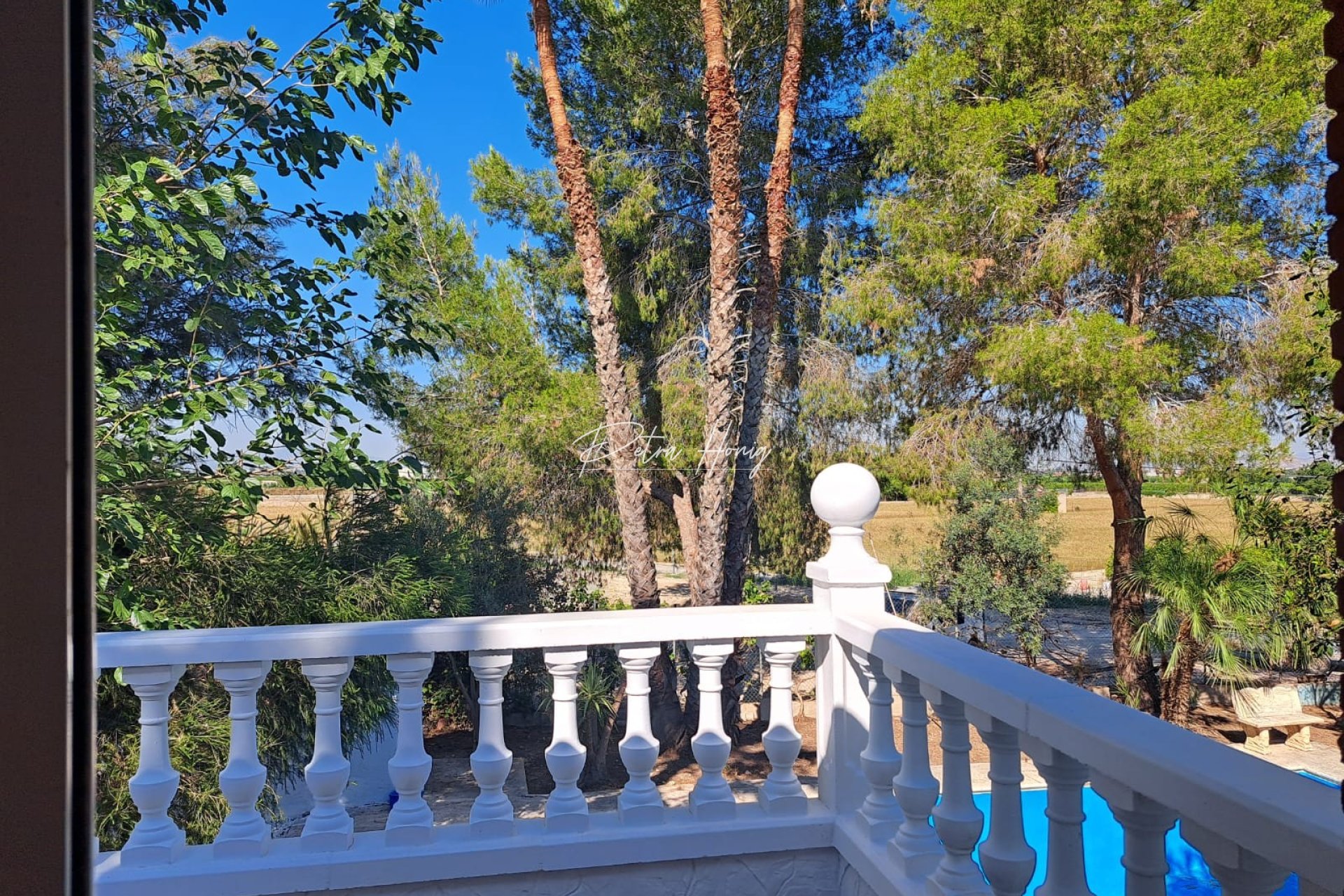 Resales - Finca - Orihuela