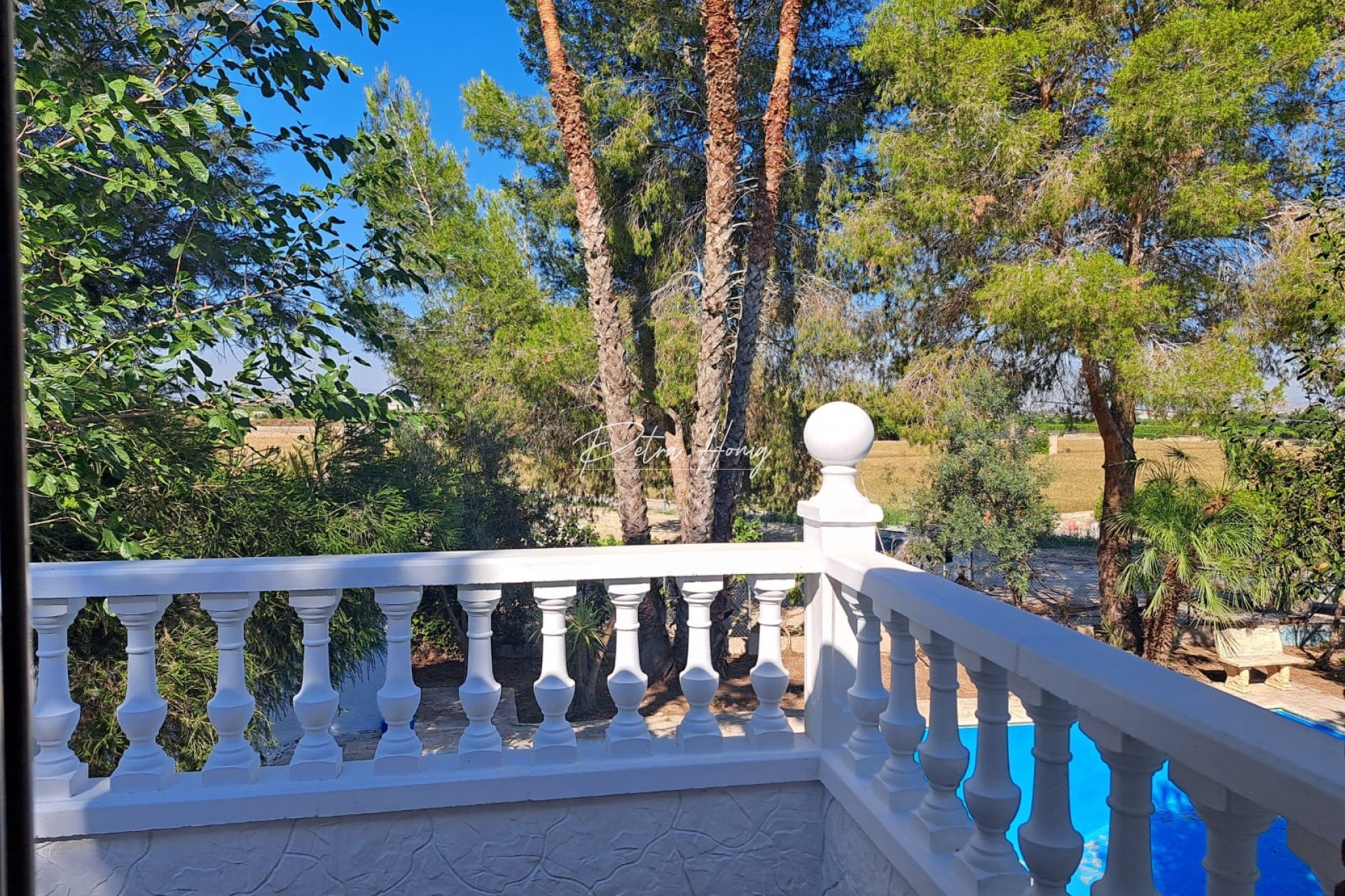 Resales - Finca - Orihuela