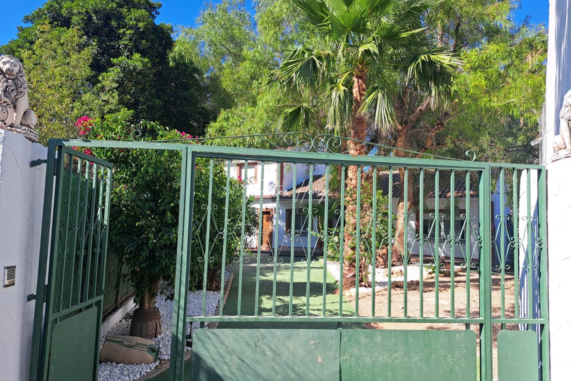 Resales - Finca - Orihuela