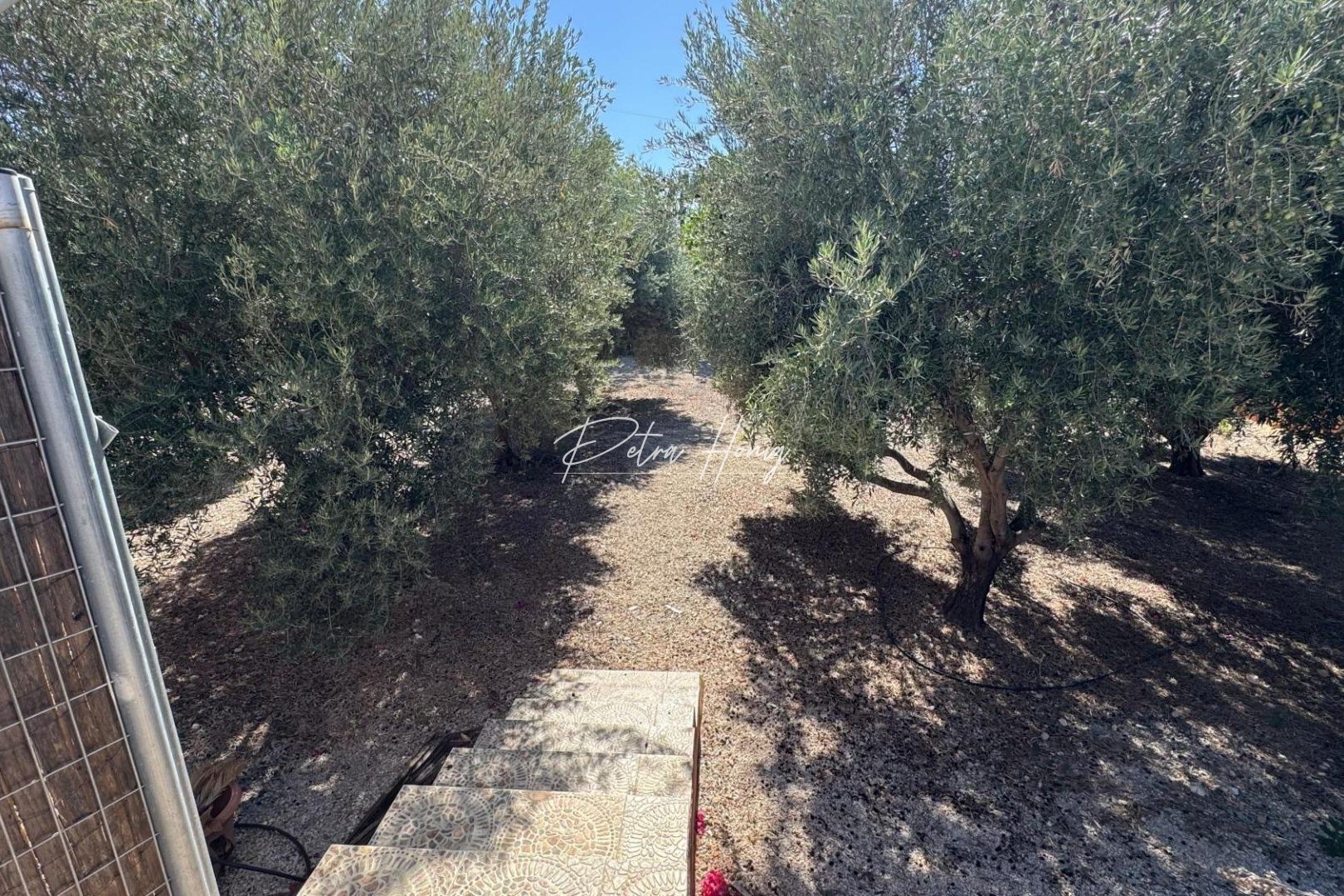 Resales - Finca - Other areas - BARRANCO SAN CAYETANO