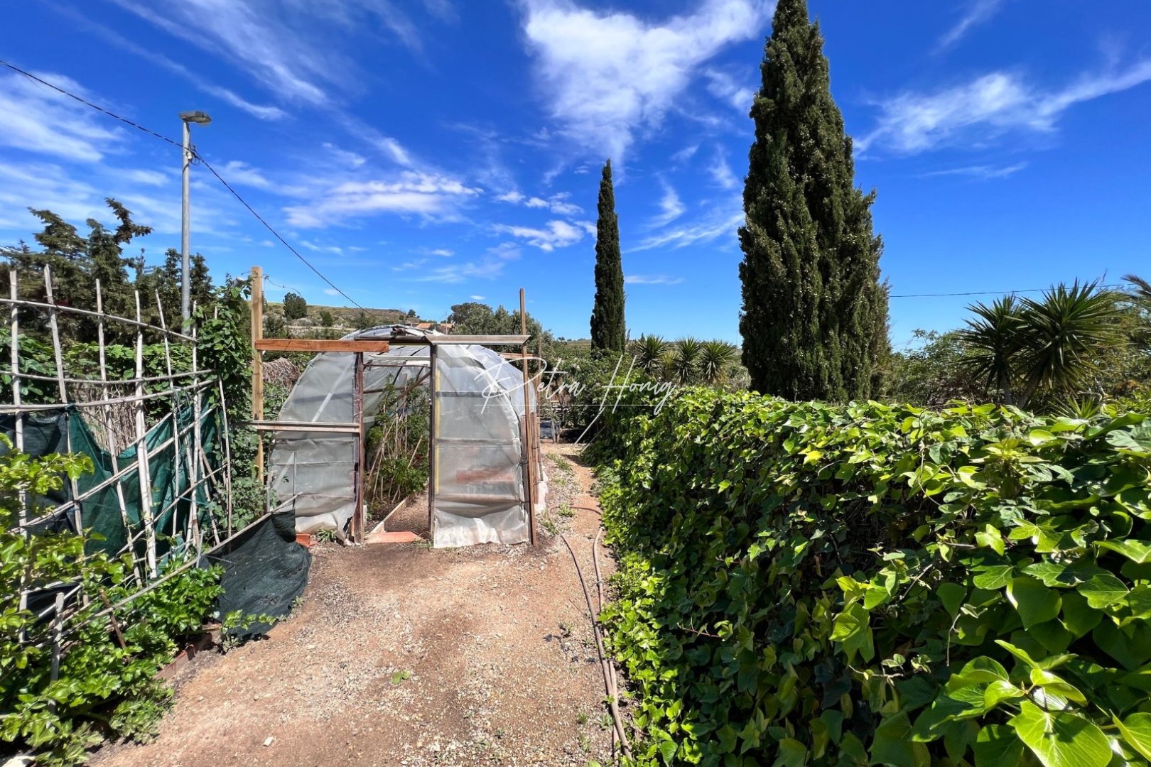 Resales - Finca - Other areas - Cartagena