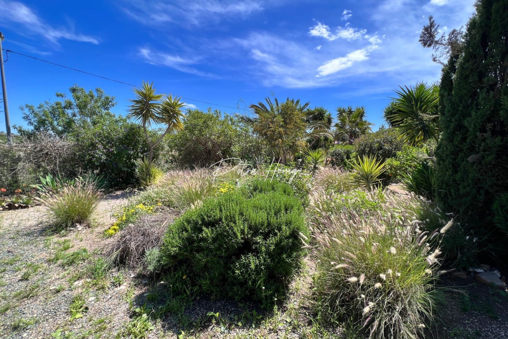 Resales - Finca - Other areas - Cartagena