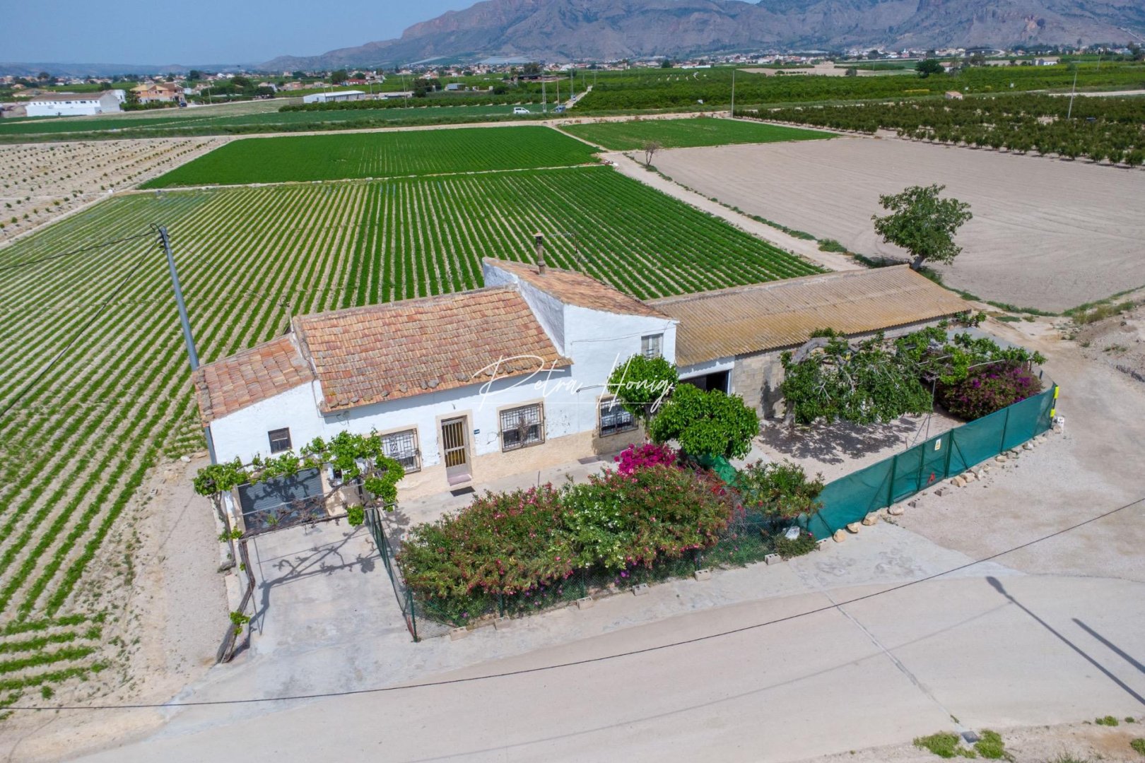 Resales - Finca - Other areas - Desamparados-Hurchillo-Torremendo