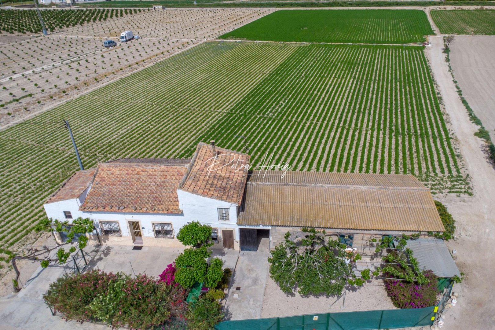 Resales - Finca - Other areas - Desamparados-Hurchillo-Torremendo