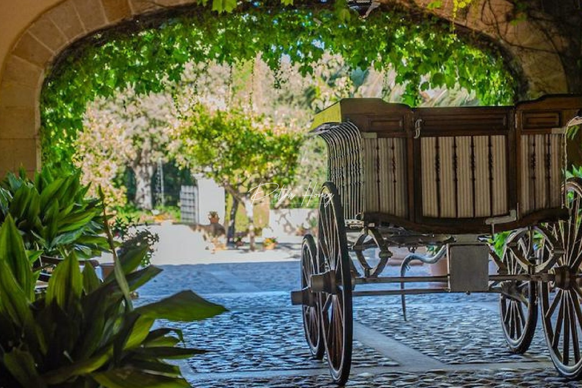 Resales - Finca - Other areas - Manacor