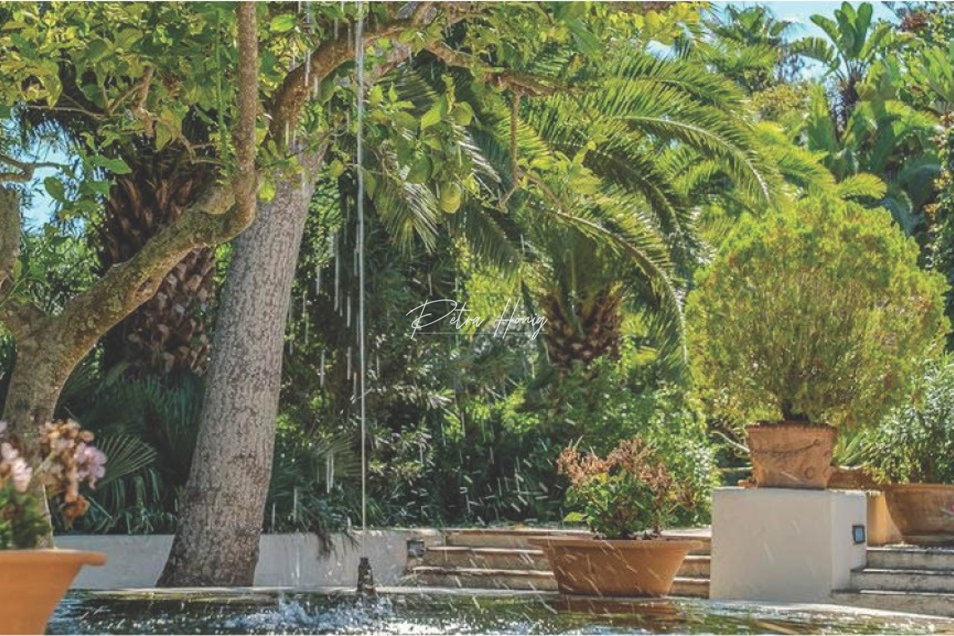 Resales - Finca - Other areas - Manacor