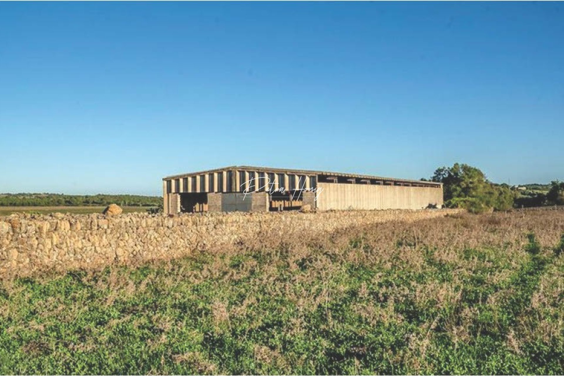 Resales - Finca - Other areas - Manacor