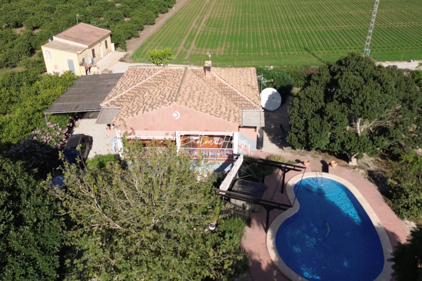 Resales - Finca - Other areas - San Bartolome