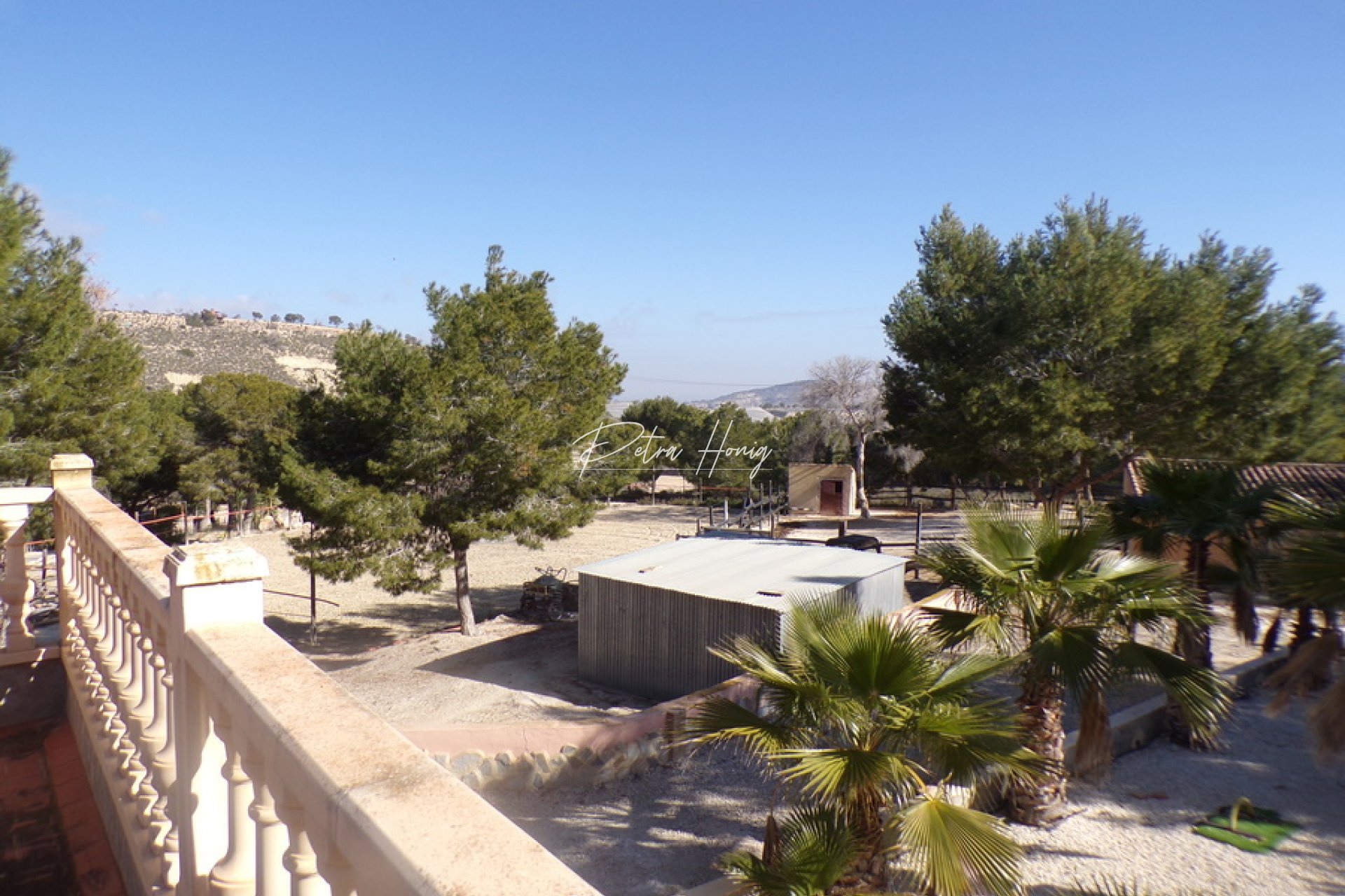 Resales - Finca - San Miguel de Salinas - Torremendo