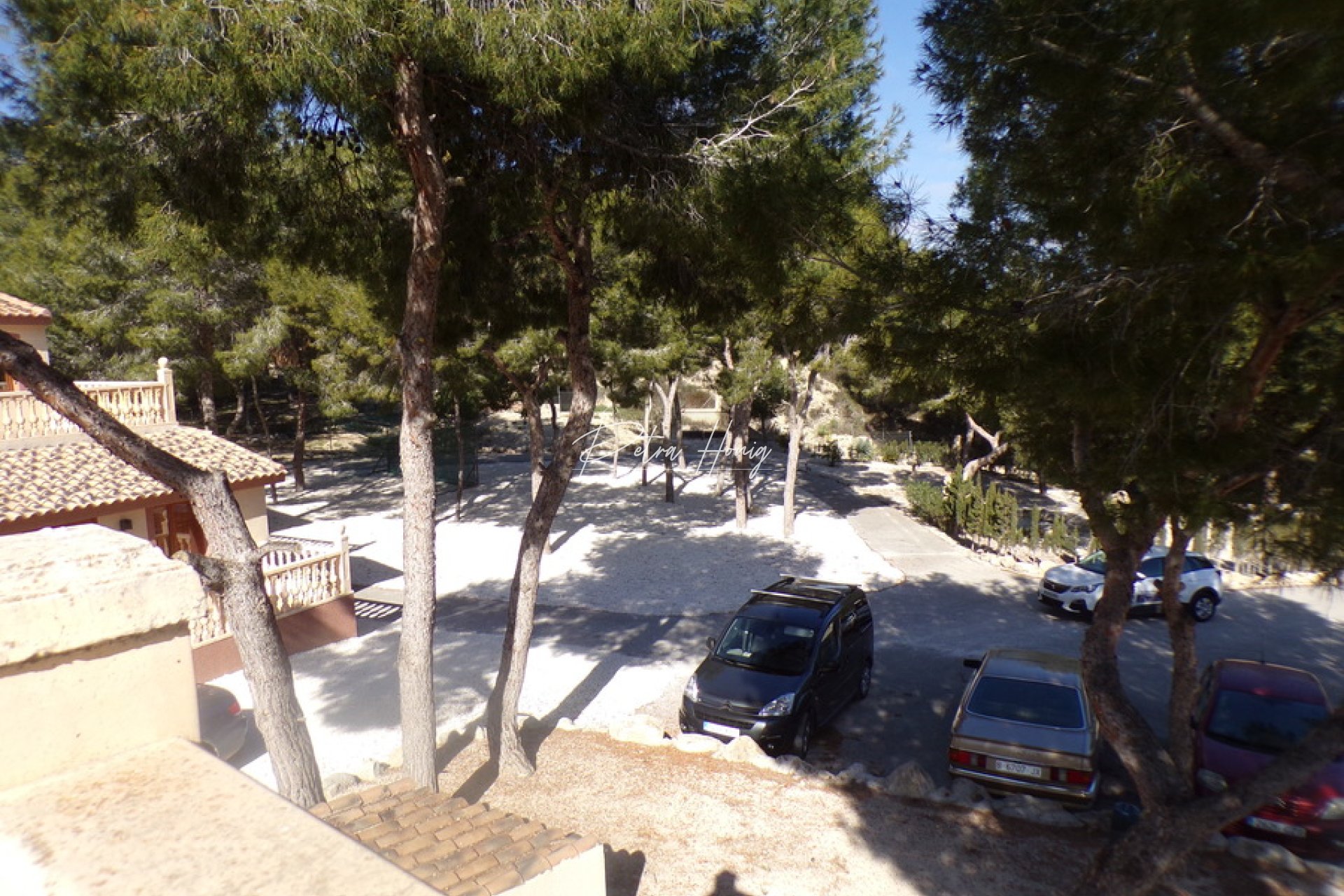 Resales - Finca - San Miguel de Salinas - Torremendo