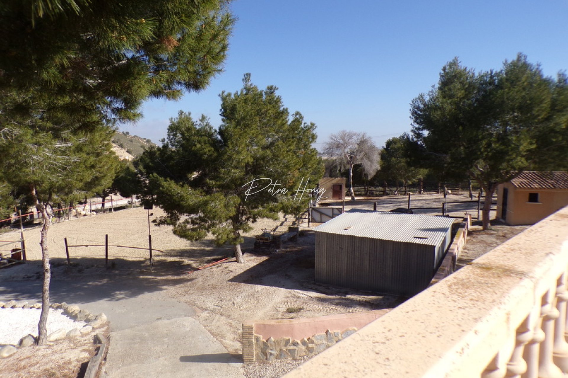 Resales - Finca - San Miguel de Salinas - Torremendo