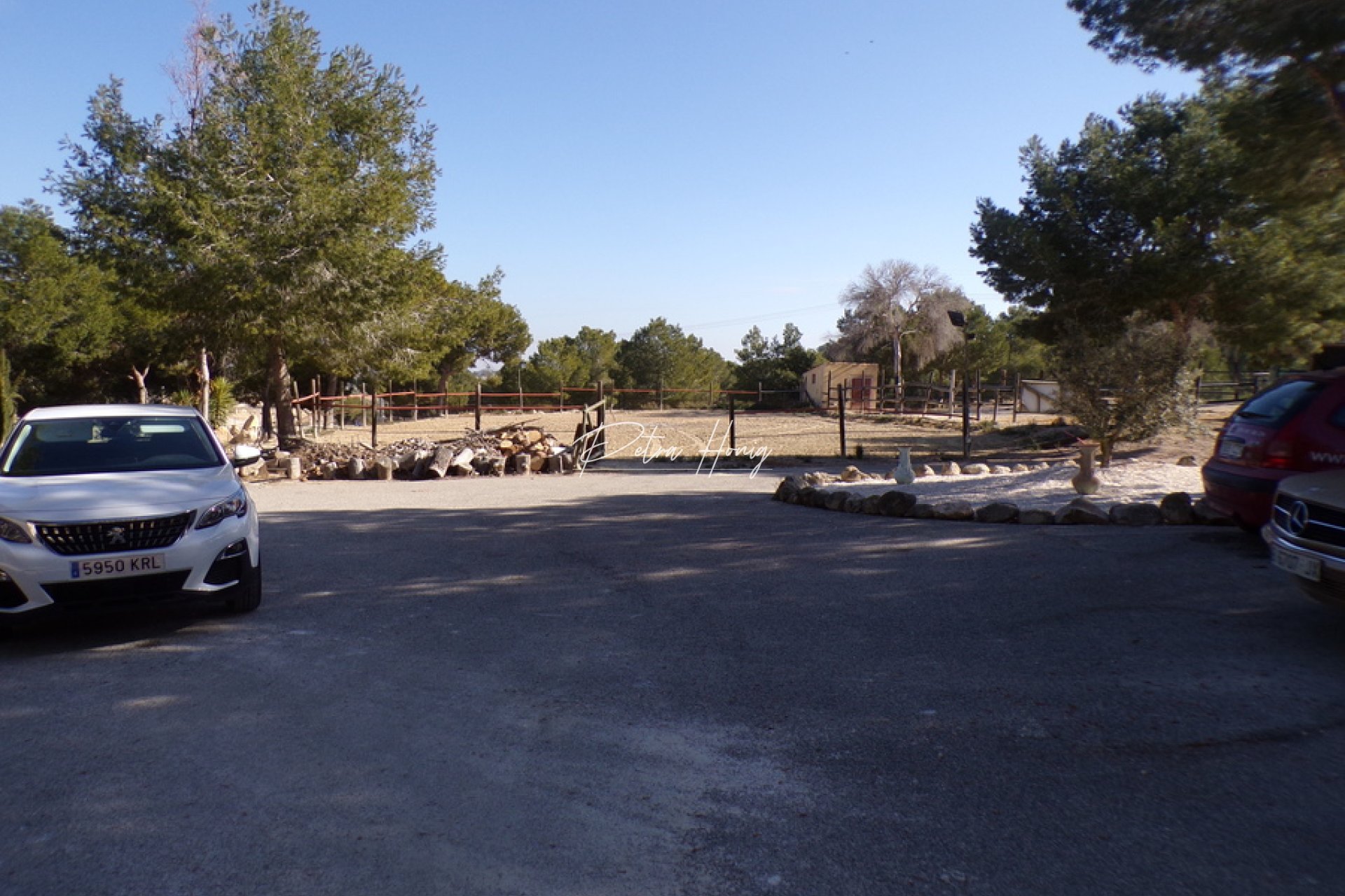 Resales - Finca - San Miguel de Salinas - Torremendo