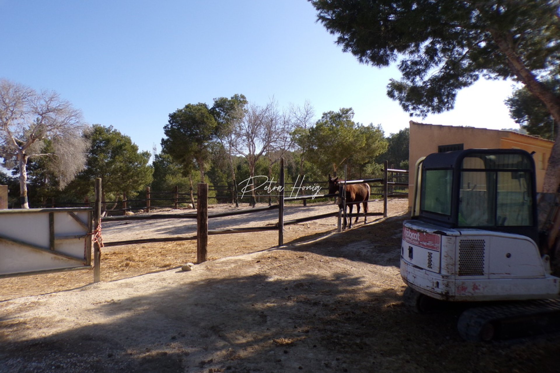 Resales - Finca - San Miguel de Salinas - Torremendo