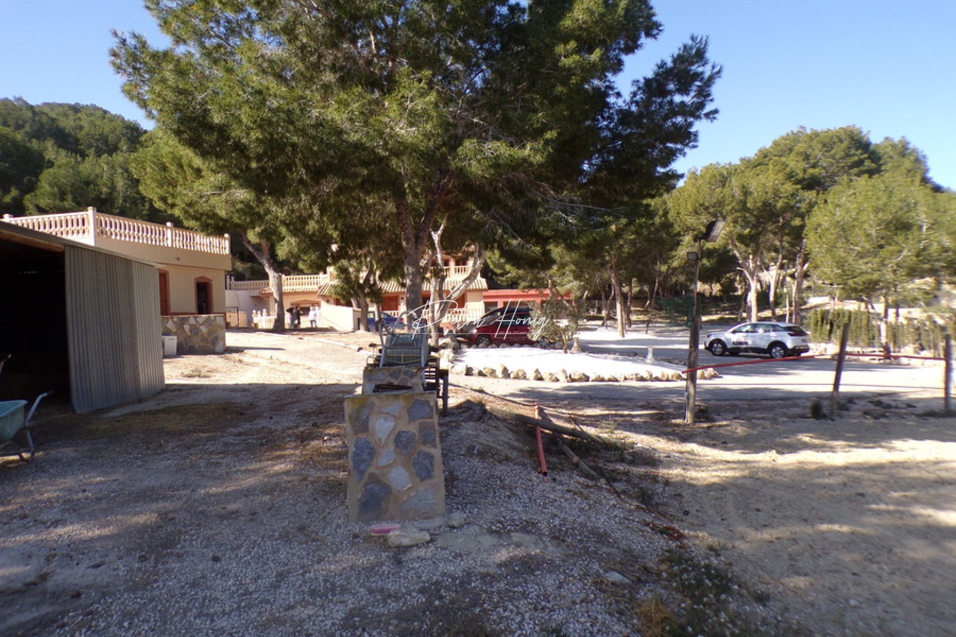 Resales - Finca - San Miguel de Salinas - Torremendo
