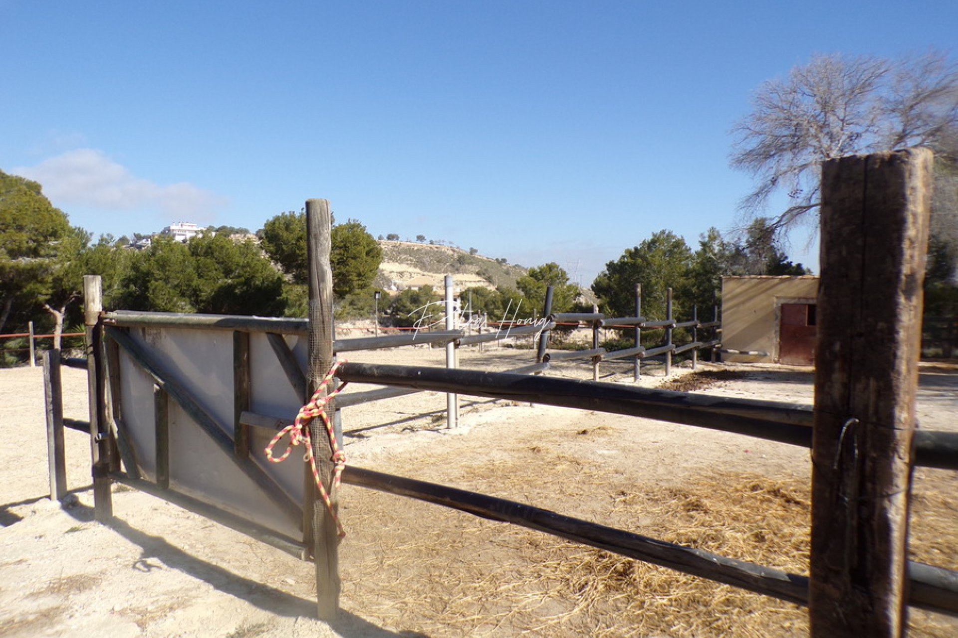 Resales - Finca - San Miguel de Salinas - Torremendo
