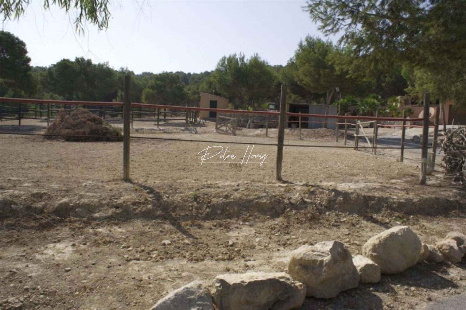 Resales - Finca - San Miguel de Salinas - Torremendo