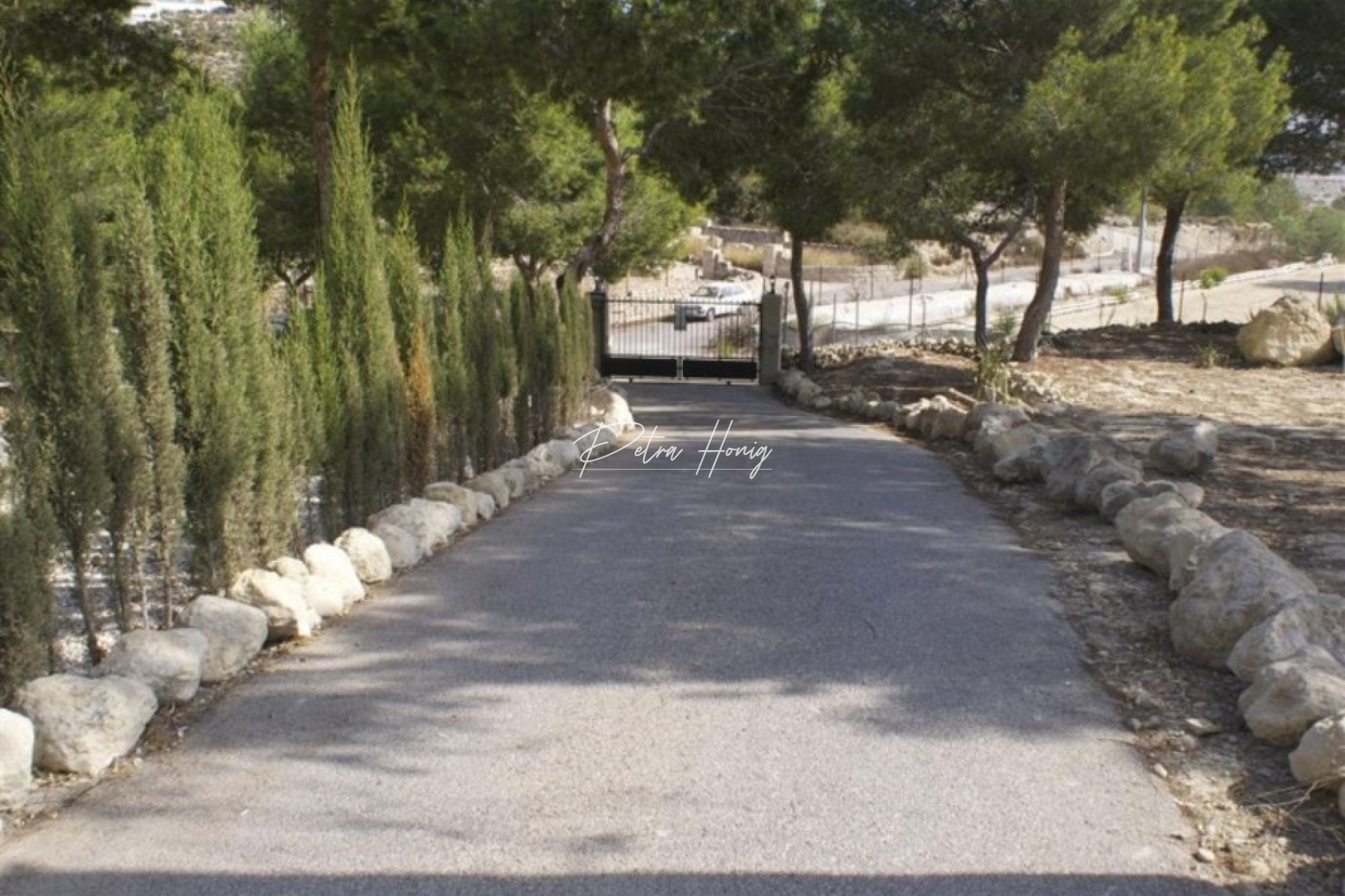 Resales - Finca - San Miguel de Salinas - Torremendo