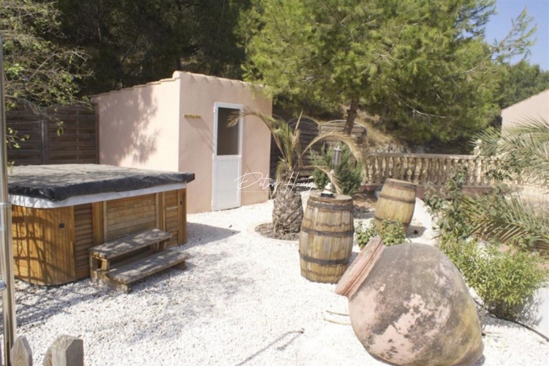 Resales - Finca - San Miguel de Salinas - Torremendo