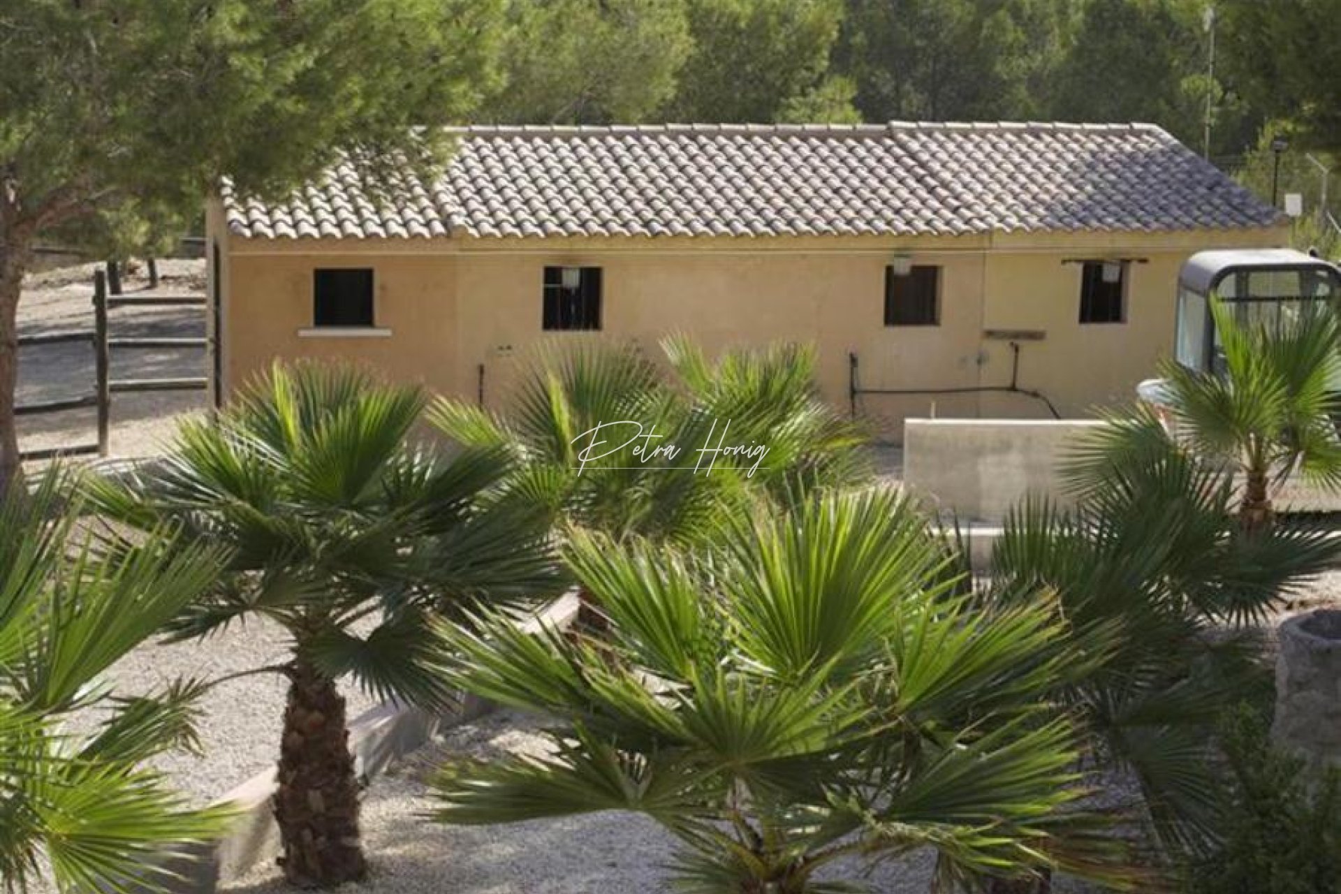 Resales - Finca - San Miguel de Salinas - Torremendo