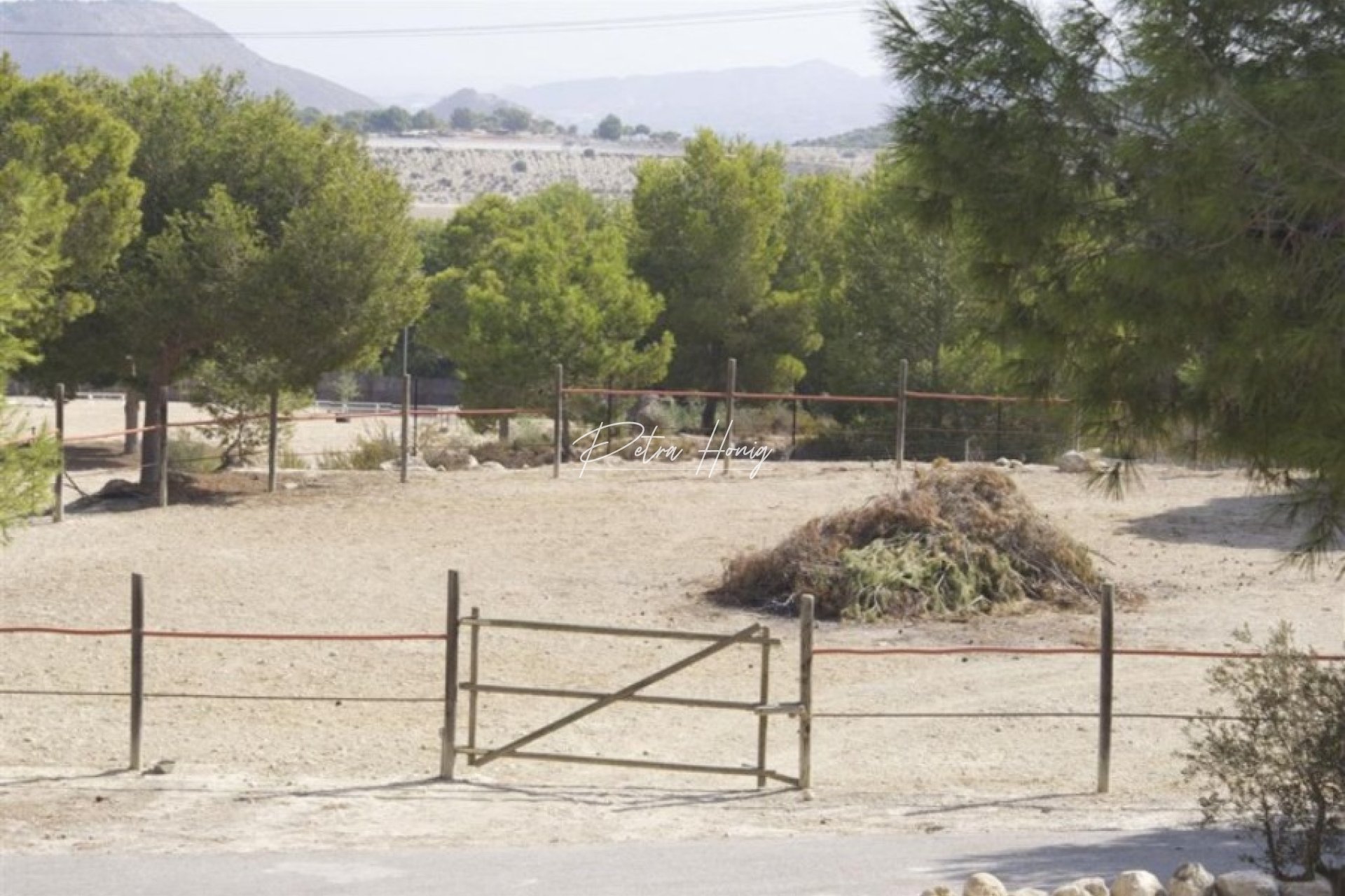 Resales - Finca - San Miguel de Salinas - Torremendo