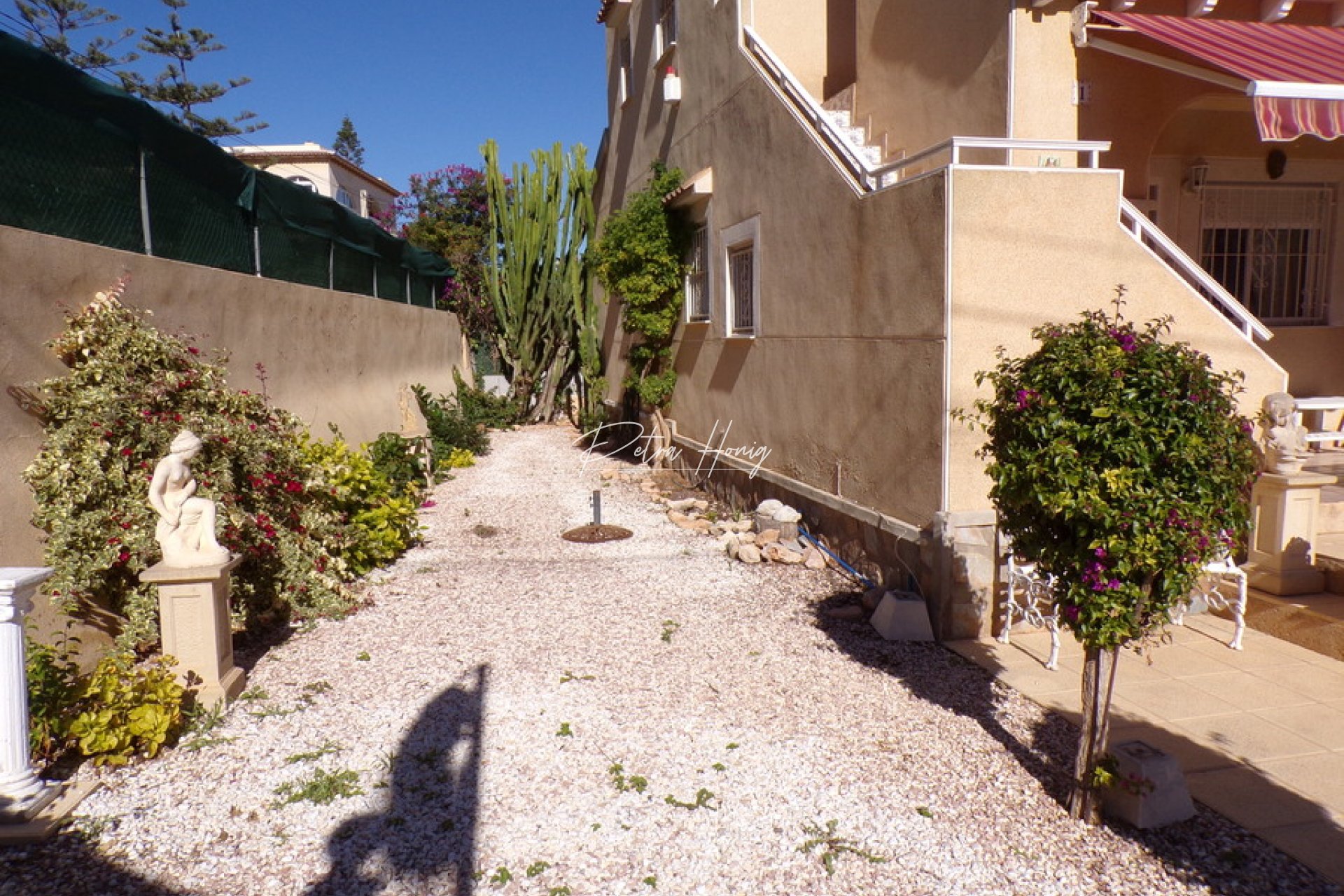 Resales - Finca - San Miguel de Salinas