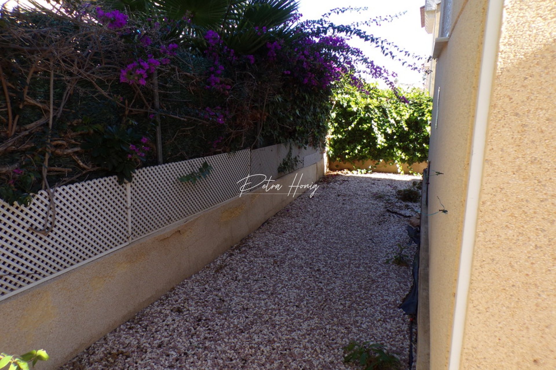 Resales - Finca - San Miguel de Salinas