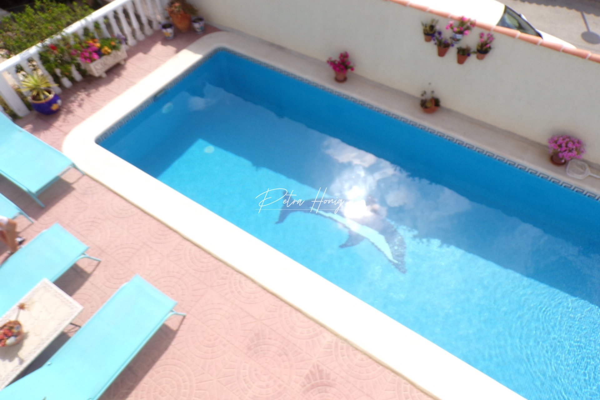Resales - Finca - Villamartin