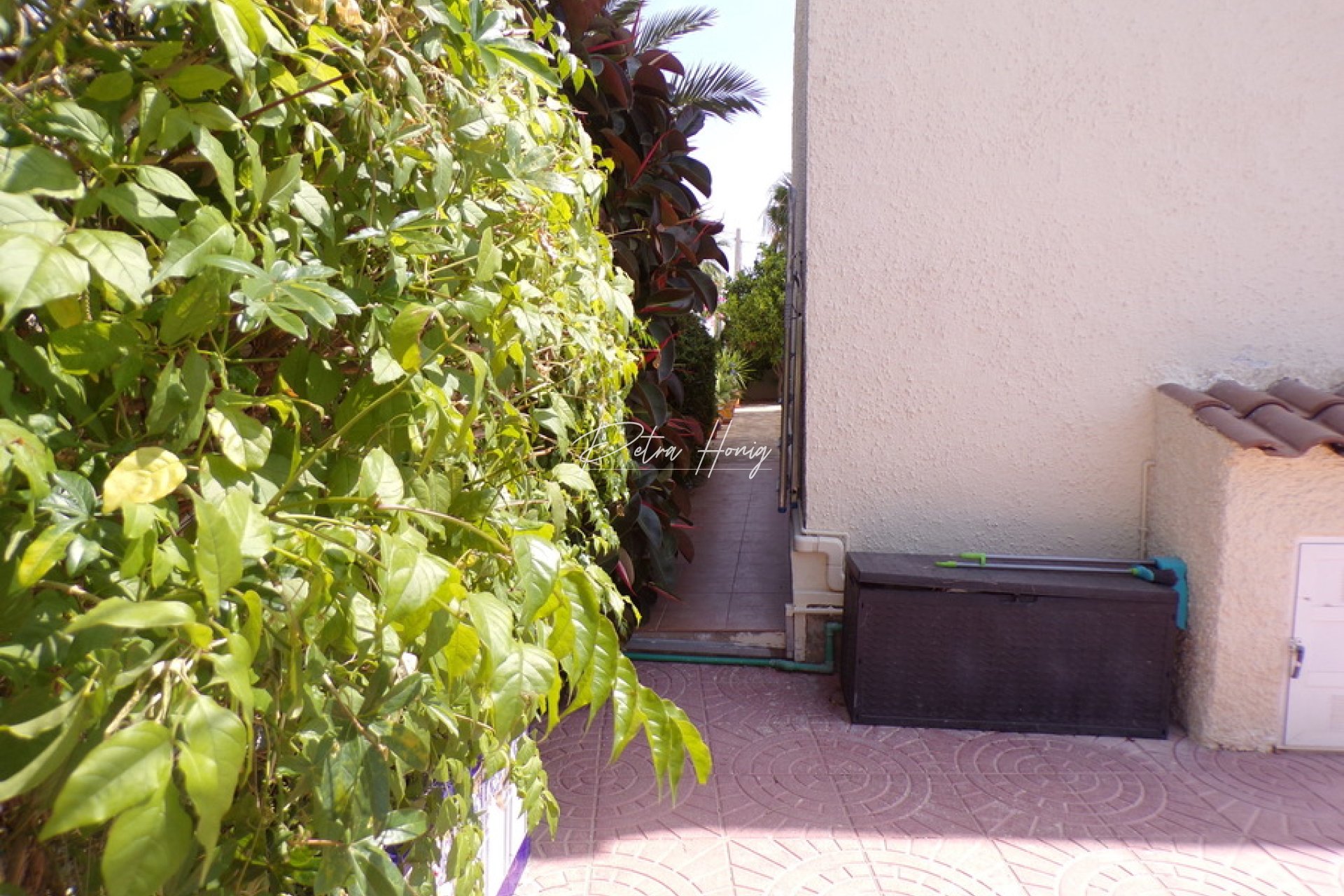 Resales - Finca - Villamartin