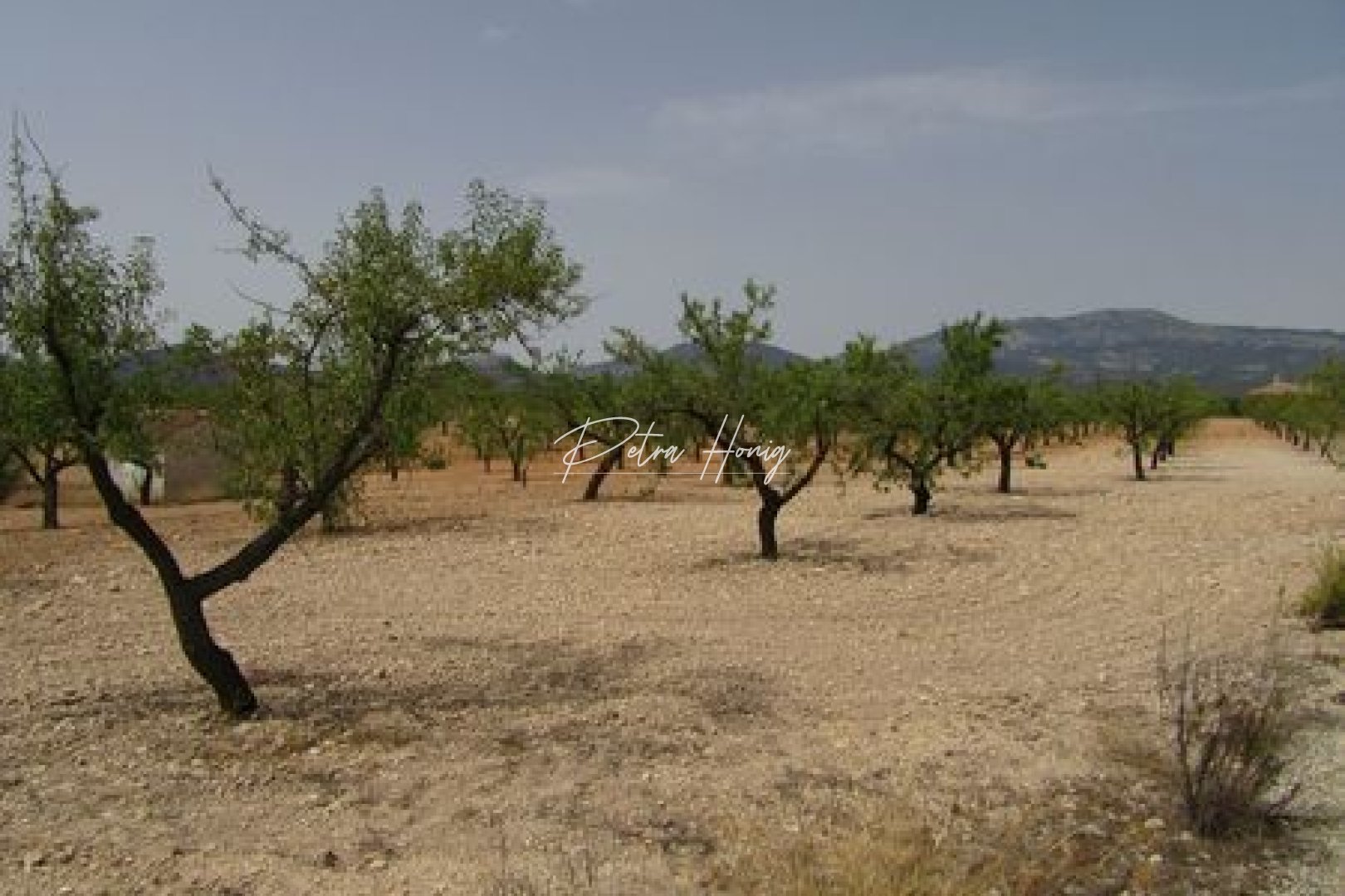 Resales - Grund - Other areas - Murcia