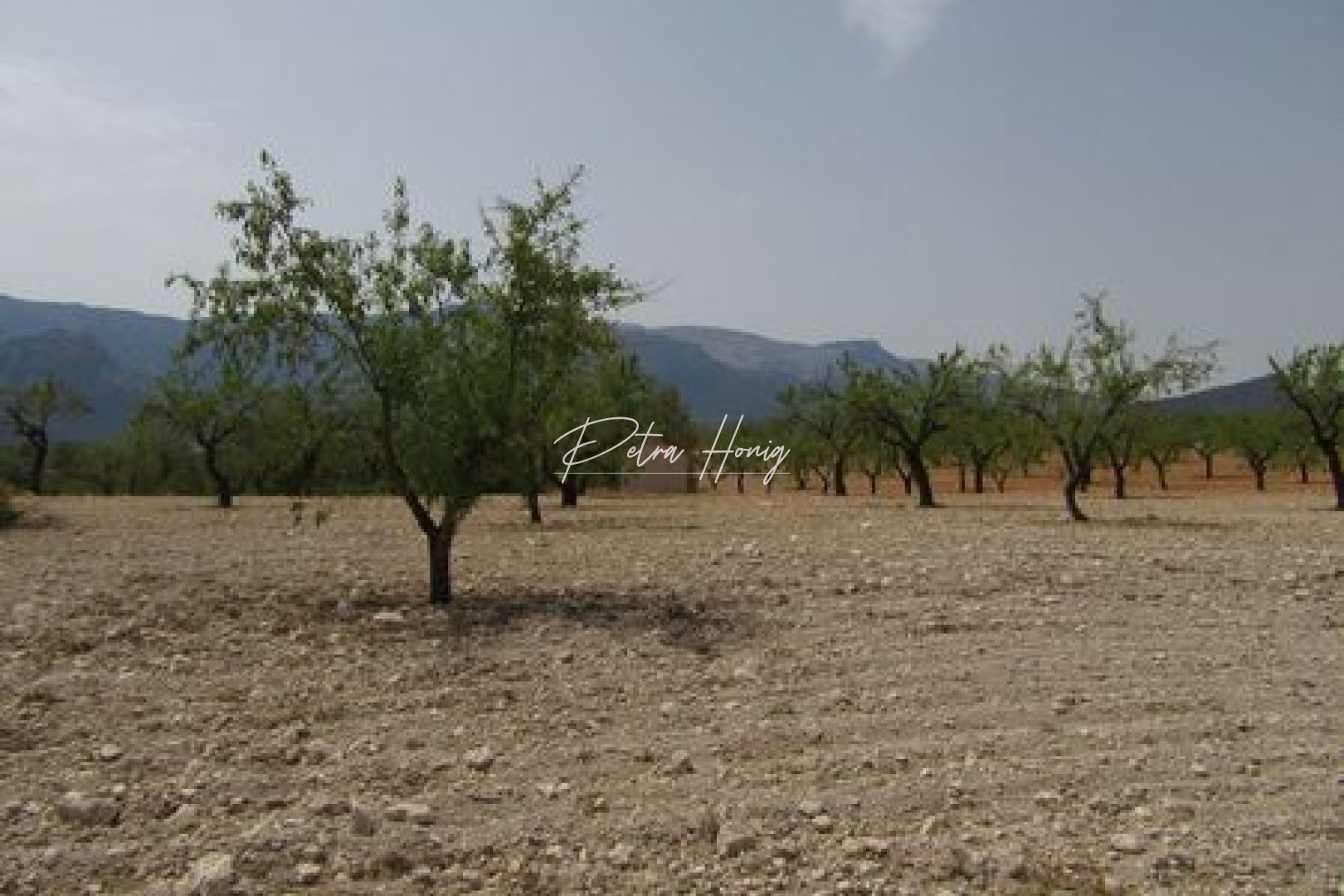 Resales - Grund - Other areas - Murcia