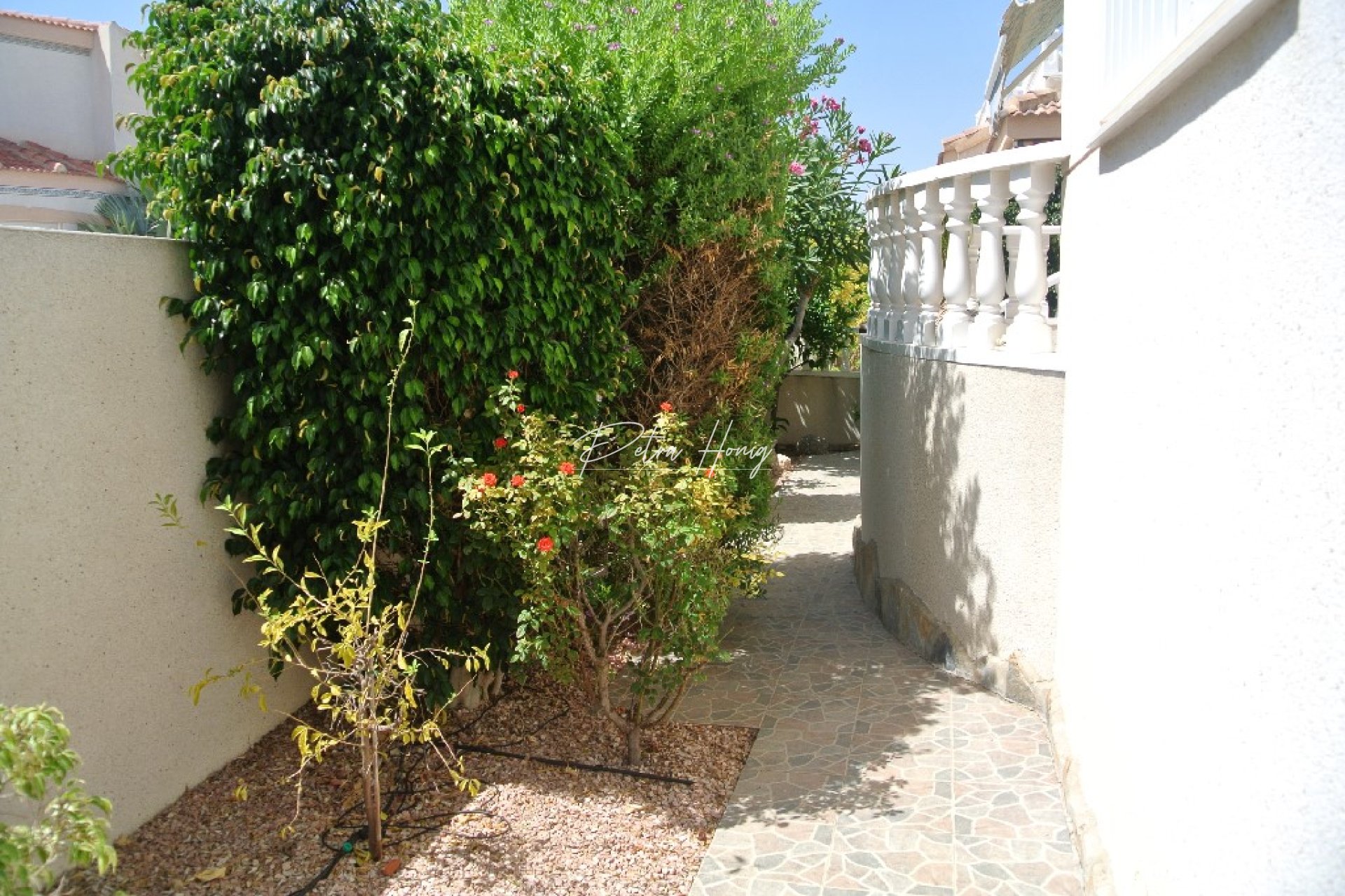 Resales - Half Vrijstaand - Algorfa - Montemar