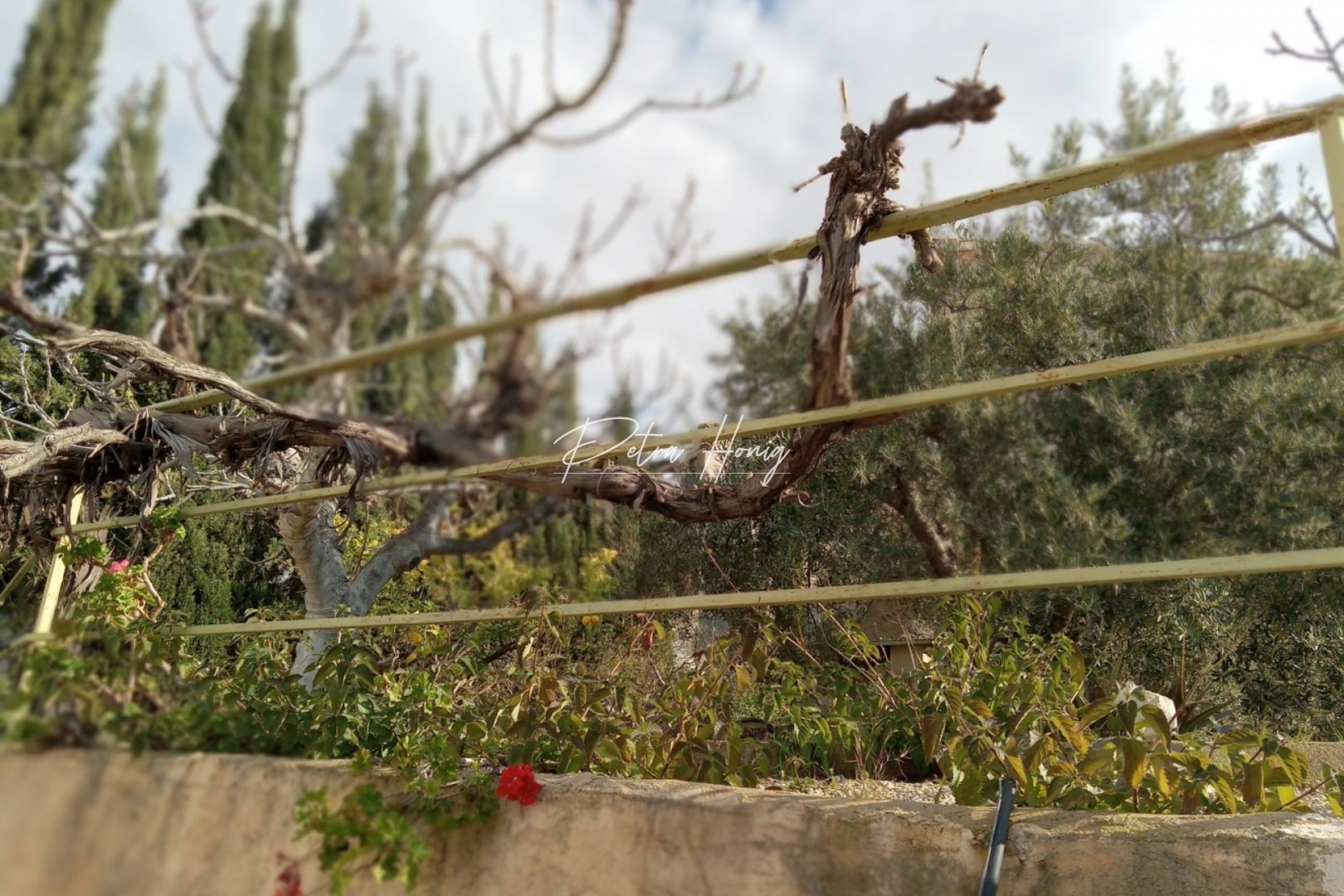 Resales - Half Vrijstaand - Other areas - Murcia