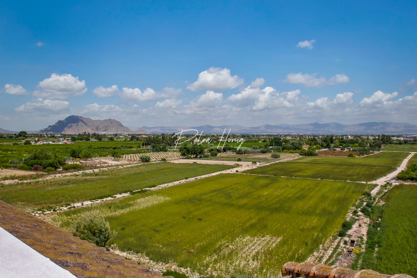 Resales - Lägenhet - Algorfa - La Finca Golf - Algorfa