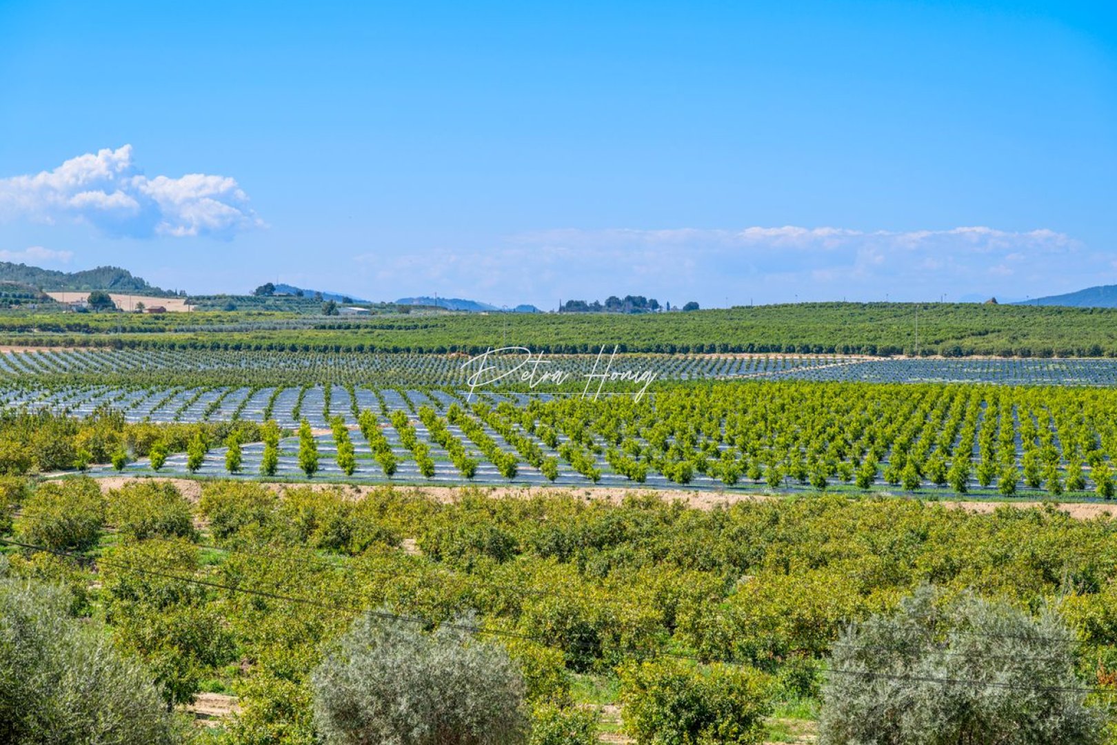 Resales - Lägenhet - Algorfa - La Finca Golf - Fontana