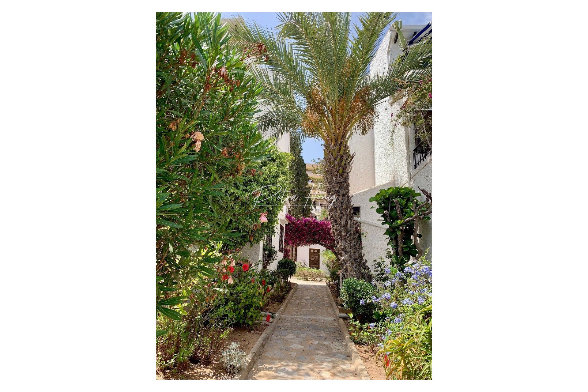 Resales - Lägenhet - Cabo Roig