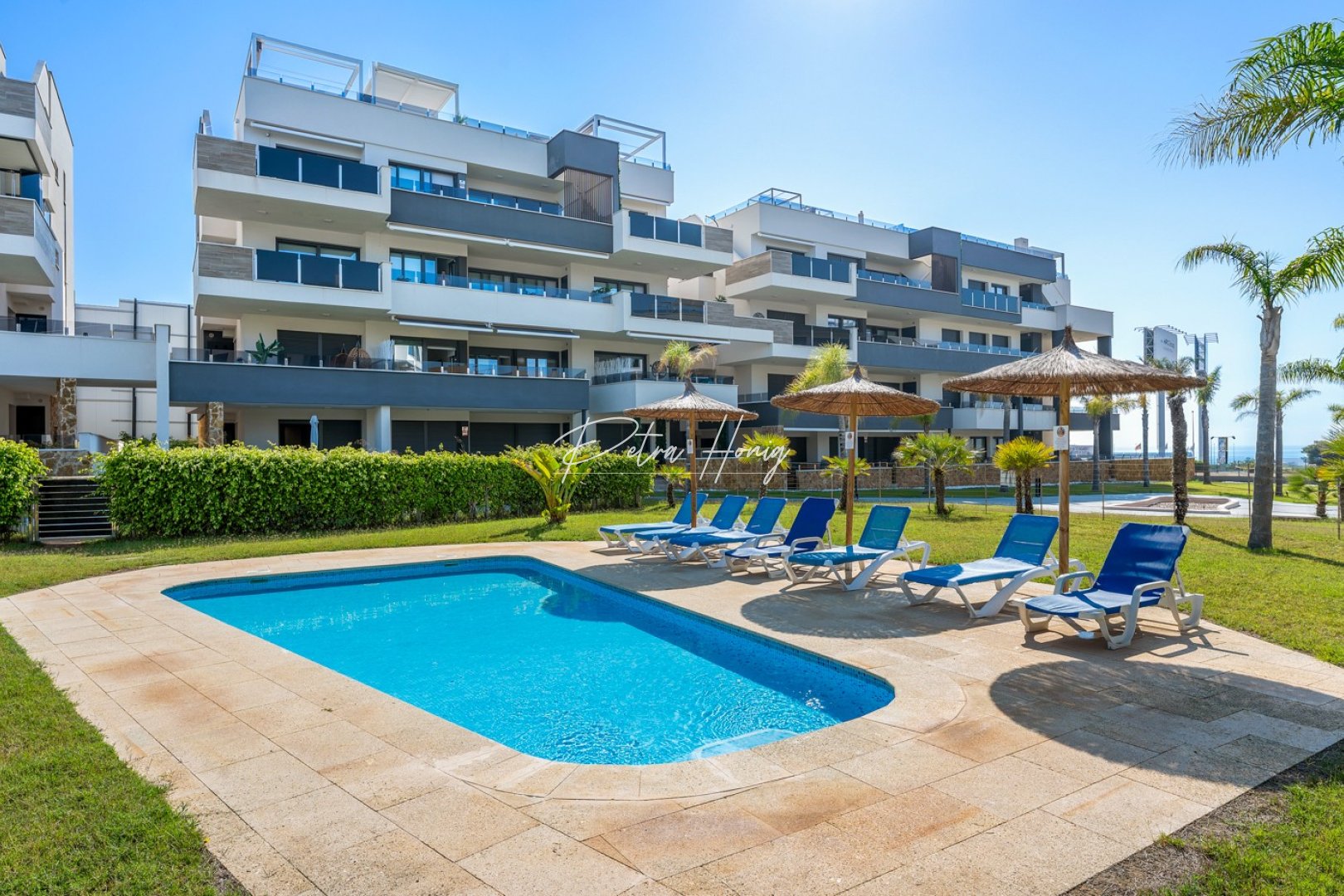 Resales - Lägenhet - Orihuela Costa - Playa Flamenca