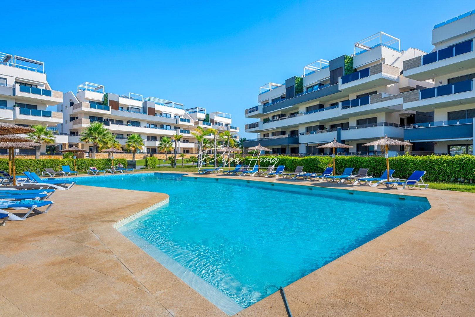 Resales - Lägenhet - Orihuela Costa - Playa Flamenca