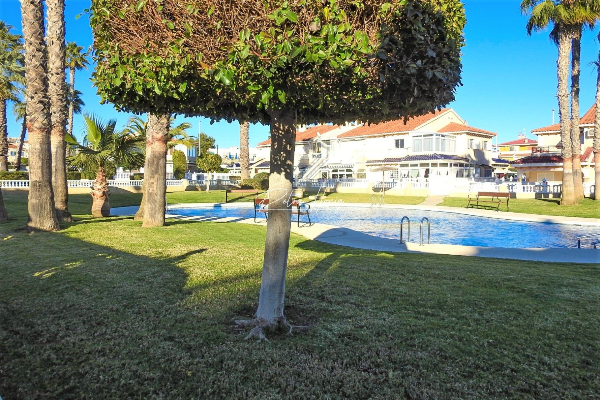 Resales - Lägenhet - Playa Flamenca - Zeniamar