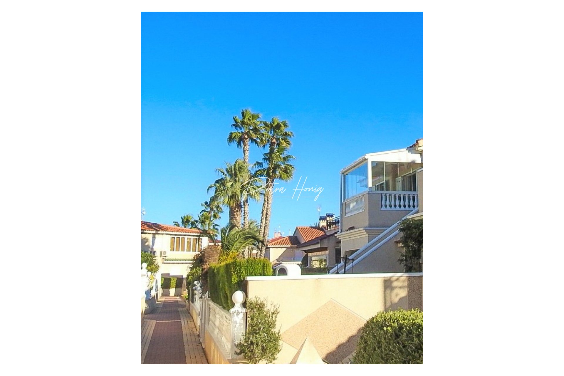 Resales - Lägenhet - Playa Flamenca - Zeniamar