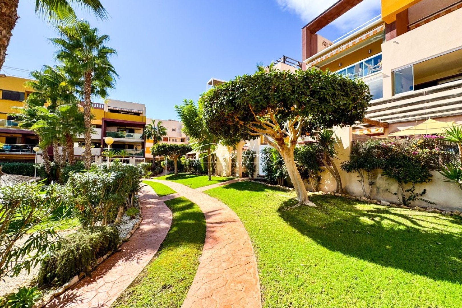 Resales - Lägenhet - Playa Flamenca
