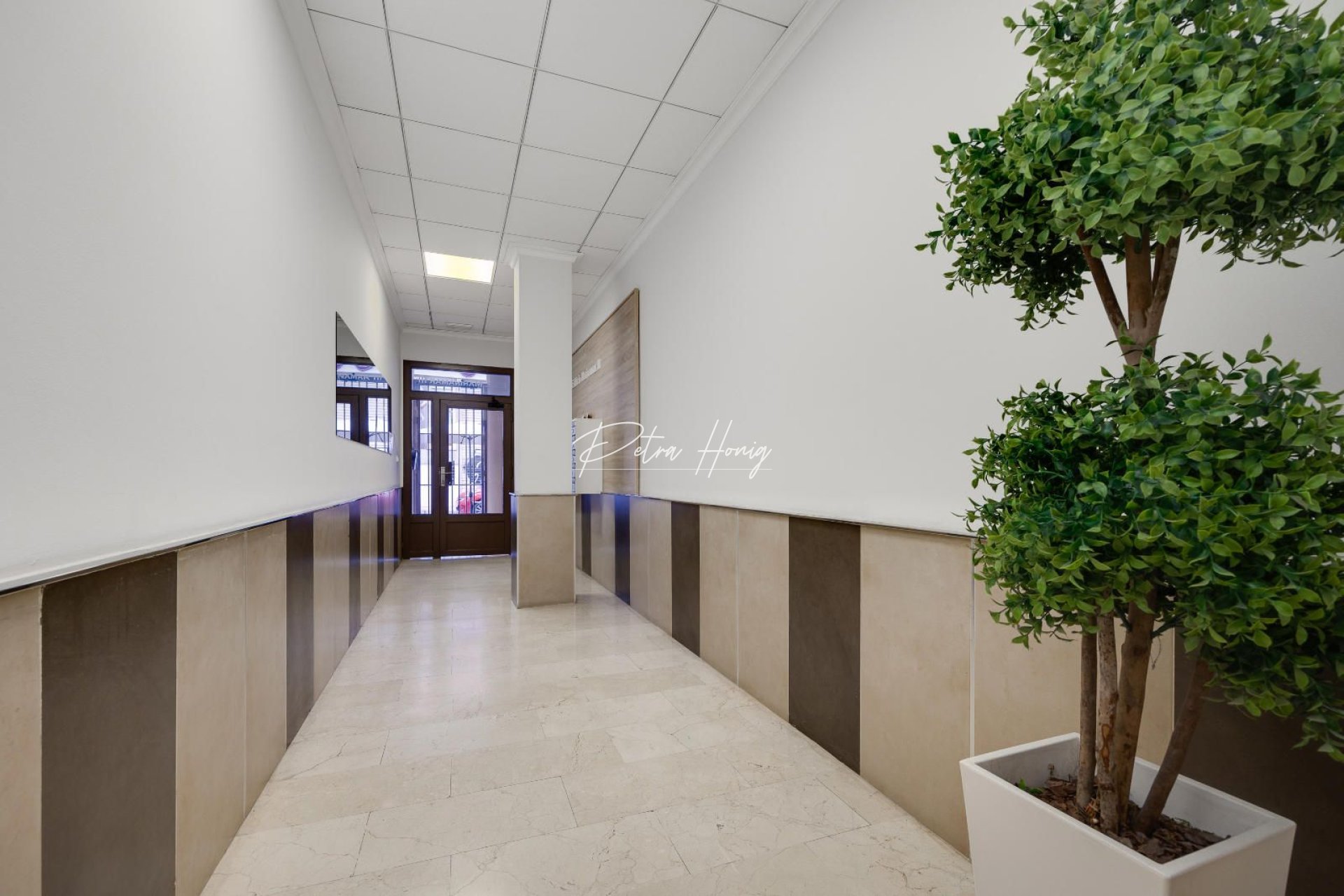 Resales - Lägenhet - Torrevieja - Centro